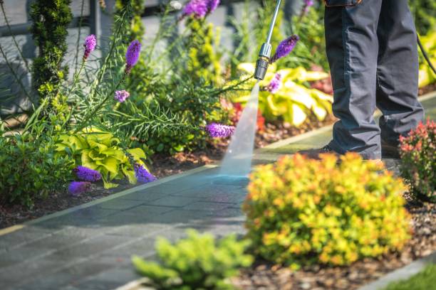 Best Dumpster Area Cleaning  in Gainesville, TX