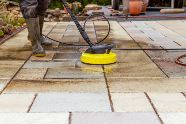 Best Animal Enclosure Cleaning  in Gainesville, TX