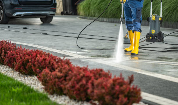 Best Solar Panel Cleaning  in Gainesville, TX